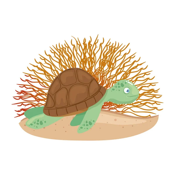 Onderwaterleven, schildpad met koraal op witte achtergrond — Stockvector