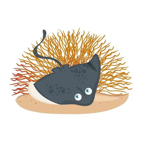 Vida subaquática do mar, animal de arraia com coral sobre fundo branco — Vetor de Stock