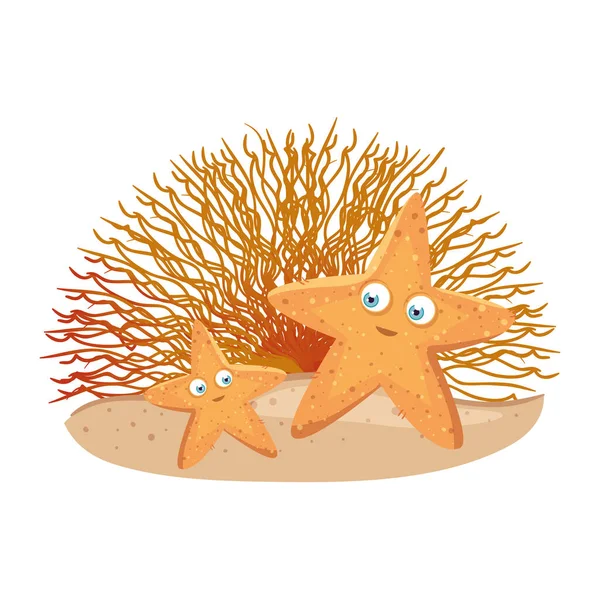 Tenger alatti élet, tengeri csillag állat korall fehér háttér — Stock Vector