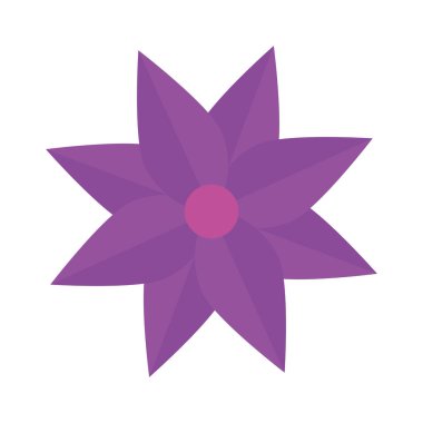 Çiçek rengi mor, bahar kavramı beyaz arkaplanda