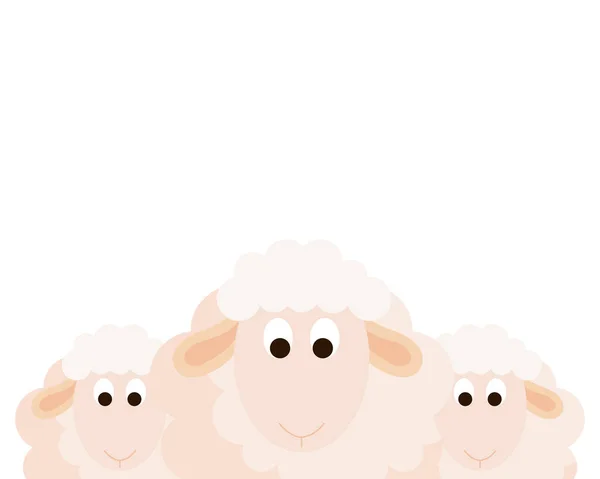 Cute sheeps animals on white background — Stock Vector