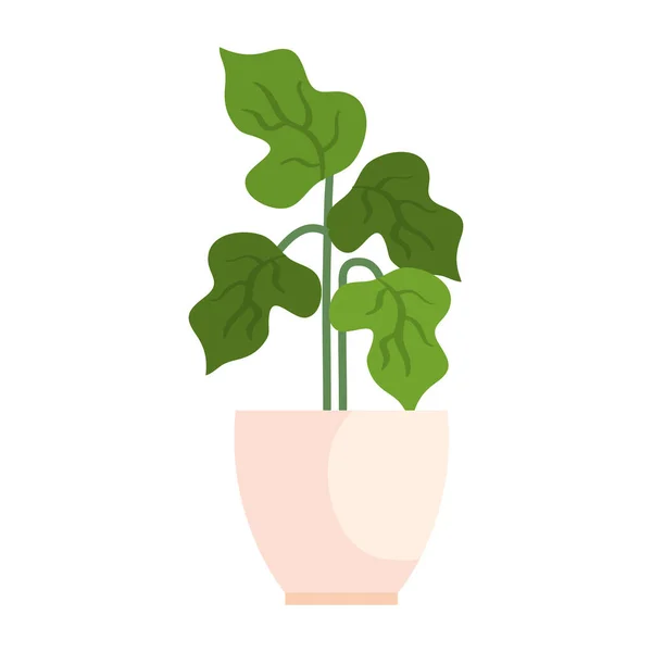Σπίτι γλάστρα φυτό σε λευκό φόντο — Διανυσματικό Αρχείο
