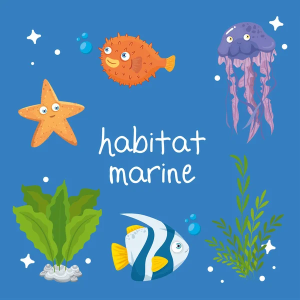 habitat marine, animals in ocean, seaworld dwellers, cute underwater creatures, undersea fauna