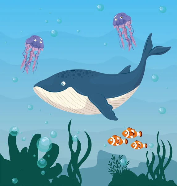 Paus biru dan hewan laut liar di laut, penghuni seaworld, makhluk lucu bawah laut, fauna bawah laut - Stok Vektor