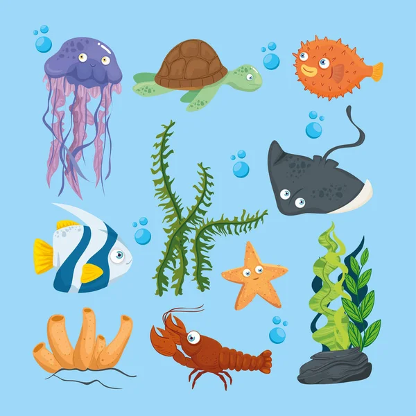 Xxx and wild marine animals in ocean, sea world dwellers, cute underwater creatures, undersea fauna of tropic — Stock Vector