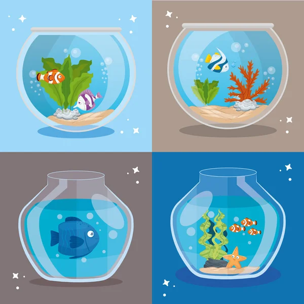 Aquaria vissen met water, aquaria zeedieren — Stockvector