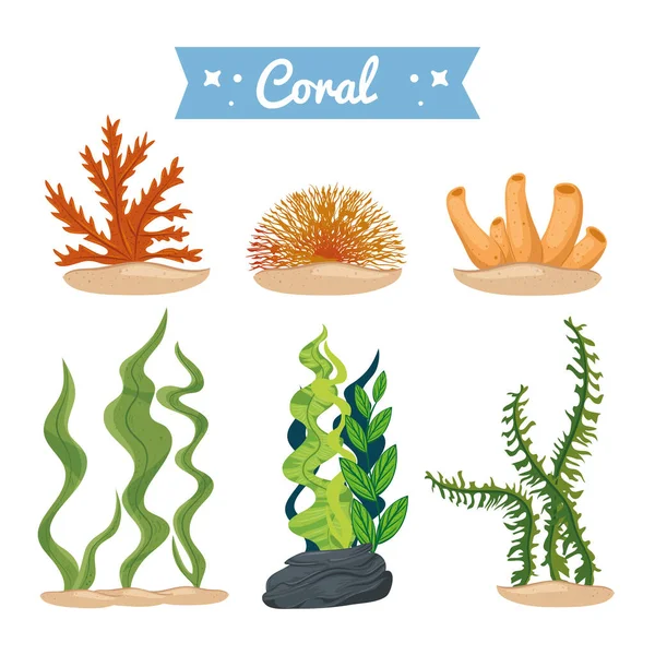 Alghe e coralli, icone della natura sottomarina — Vettoriale Stock