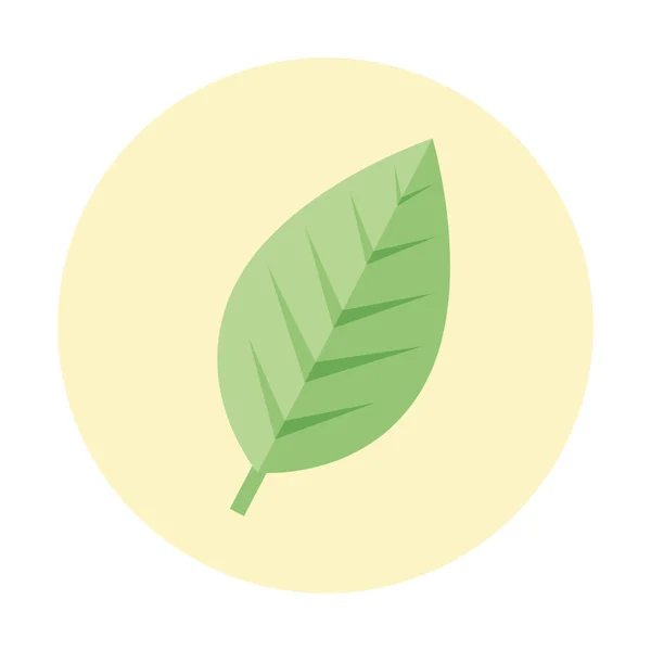 Natürliches grünes Blattvektordesign — Stockvektor