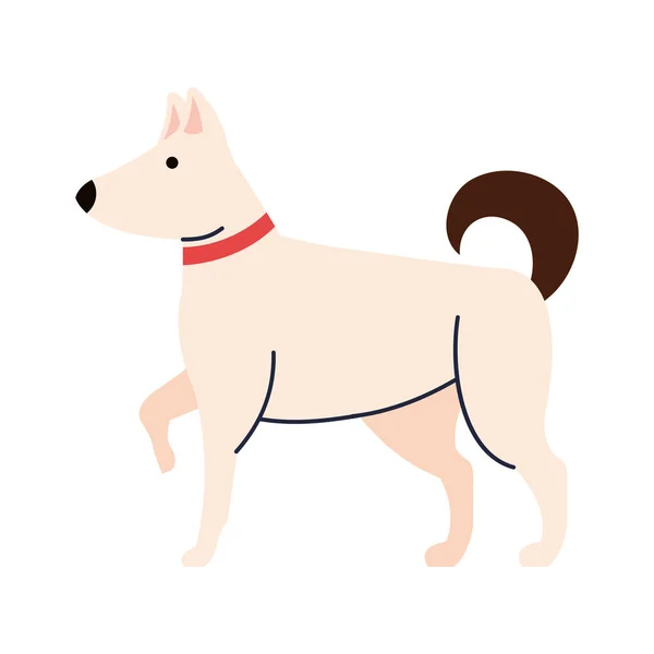 Projeto de vetor isolado mascote cão — Vetor de Stock