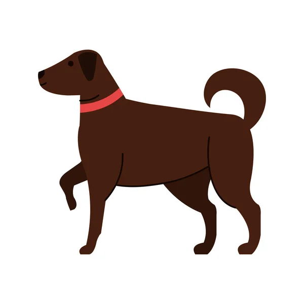 Geïsoleerde hond mascotte vector ontwerp — Stockvector