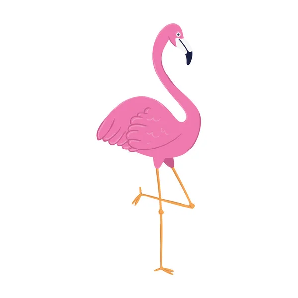 Flamingo animal tropical sobre fundo branco —  Vetores de Stock