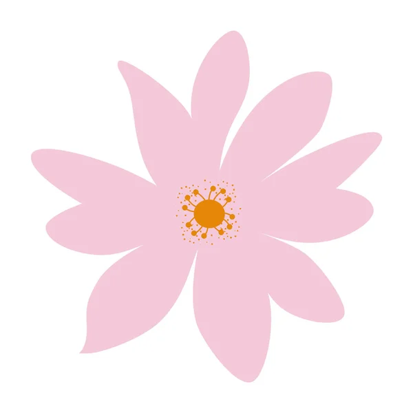 Diseño aislado vector flor rosa — Vector de stock