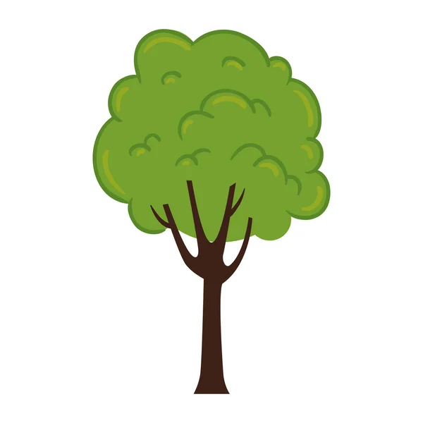 Diseño de vectores de árboles de temporada aislada — Vector de stock