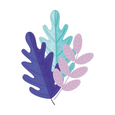 İzole edilmiş yaprak ikonları vektör tasarımı