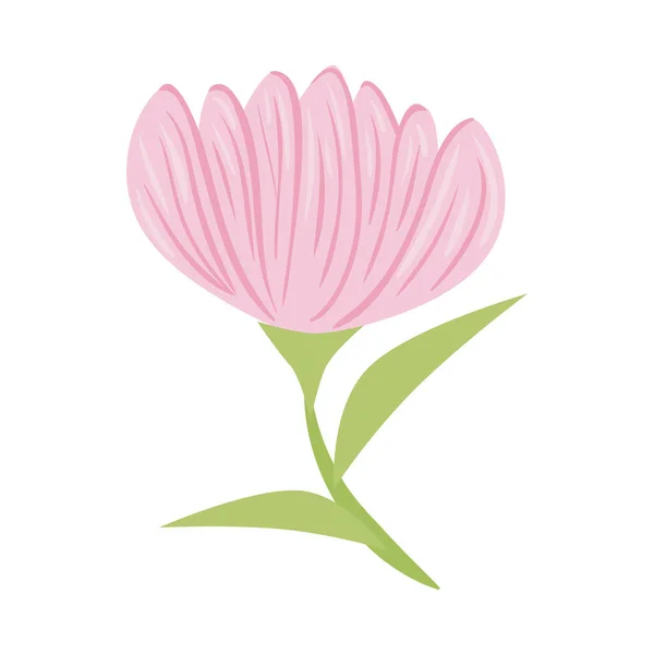 Pink flower with leaves vector design — Stock Vector