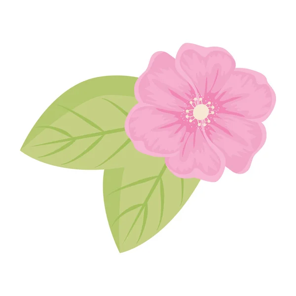 Flor rosa con hojas vector diseño — Archivo Imágenes Vectoriales