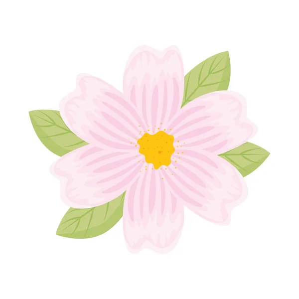 Bílá a růžová květina s listy vektorový design — Stockový vektor