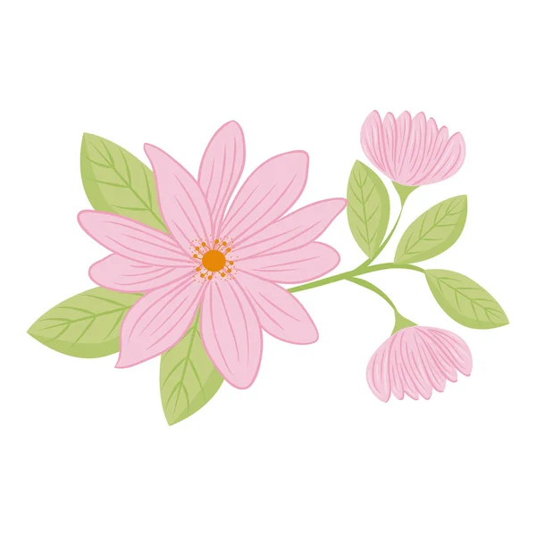 Flores de color rosa con hojas vector de diseño — Vector de stock