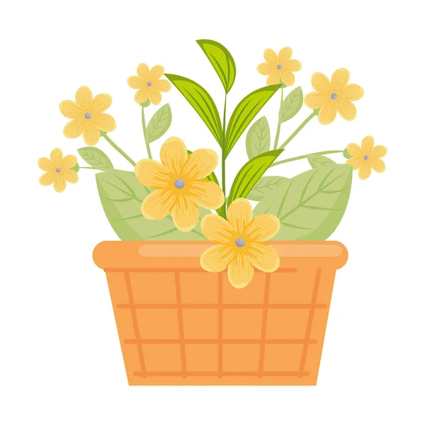Yellow flowers with leaves inside basket vector design — Stock Vector