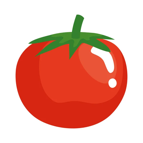 Diseño aislado del vector vegetal de tomate — Vector de stock