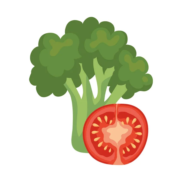 Ontwerp van tomaten- en broccoli-vector — Stockvector