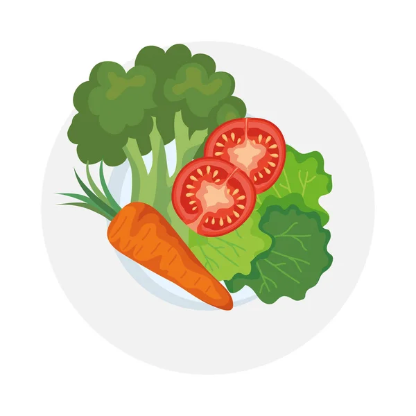Морквяні брокколі помідори та салат Векторний дизайн — стоковий вектор