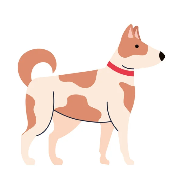 Söt hund husdjur fläckig, på vit bakgrund — Stock vektor