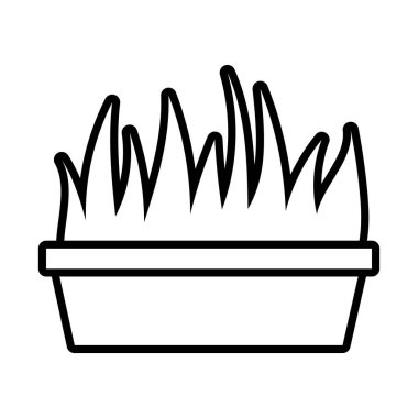 Seramik saksı çizgisi biçimindeki büyüme bitkisi