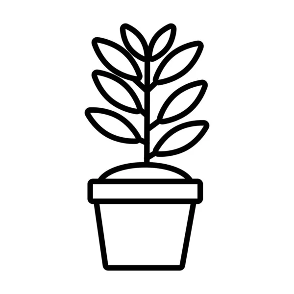 Planta de crecimiento en cerámica icono de estilo de línea de olla — Vector de stock