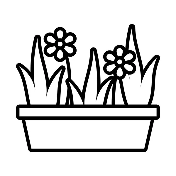 陶瓷壶线形图标中的花卉生长植物 — 图库矢量图片