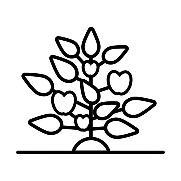 Növekedési növény almával vonal stílus ikon — Stock Vector