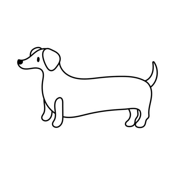 Schattig hond huisdier lijn stijl pictogram — Stockvector