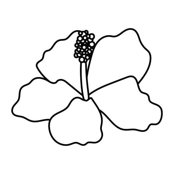 Belo ícone de estilo de linha de jardim flor —  Vetores de Stock
