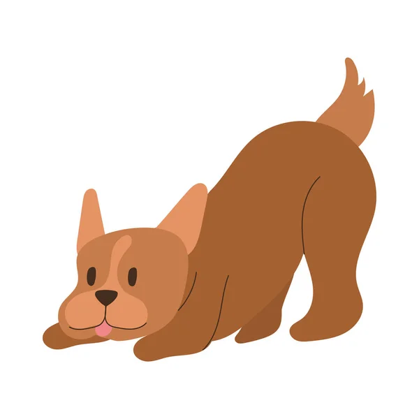 Roztomilý pes pet ruční kreslení styl ikona — Stockový vektor