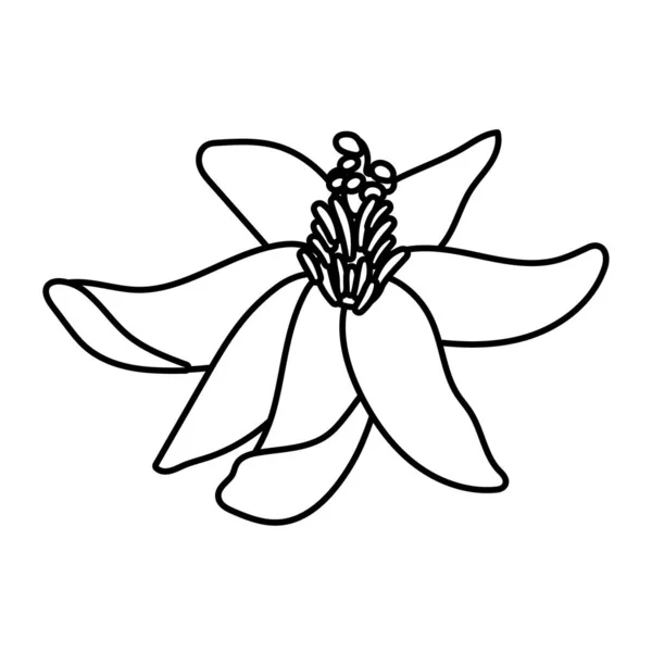 Beautiful flower garden line style icon — Stock Vector