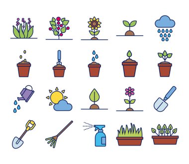 Bitki büyüme çizgisi demeti ve doldurma biçimi