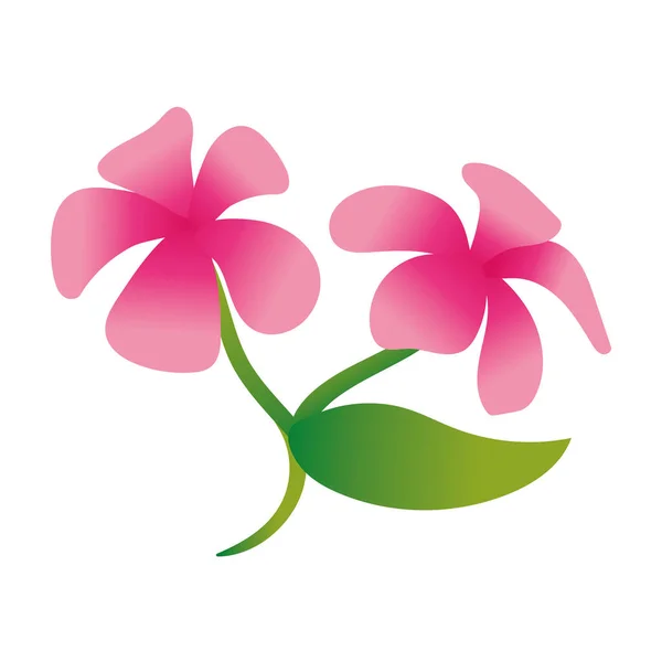 Vackra blommor och blad trädgård lutning stil ikon — Stock vektor