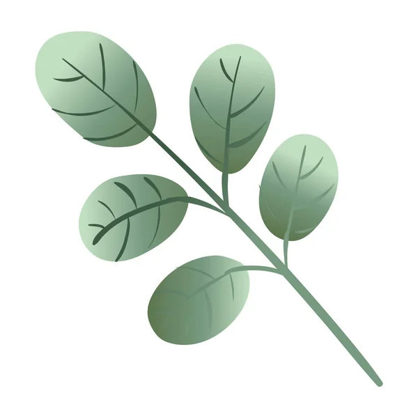 Branche avec des feuilles botanique gradient icône de style — Image vectorielle
