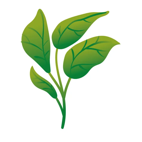 Branche avec des feuilles botanique gradient icône de style — Image vectorielle