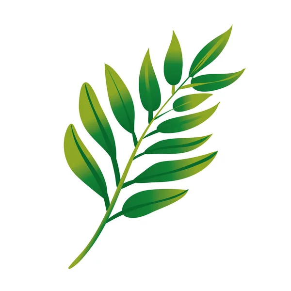 Ág levelekkel botanikai gradiens stílusú ikon — Stock Vector