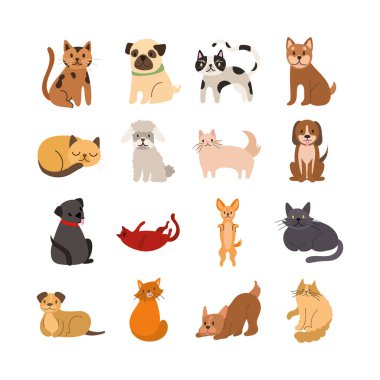 Kedi ve köpek demetleri simgeler oluşturur