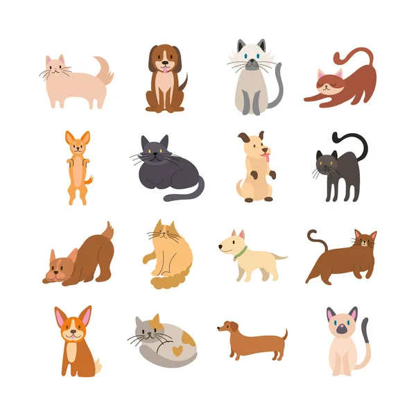 Paquete de gatos y perros set iconos — Vector de stock