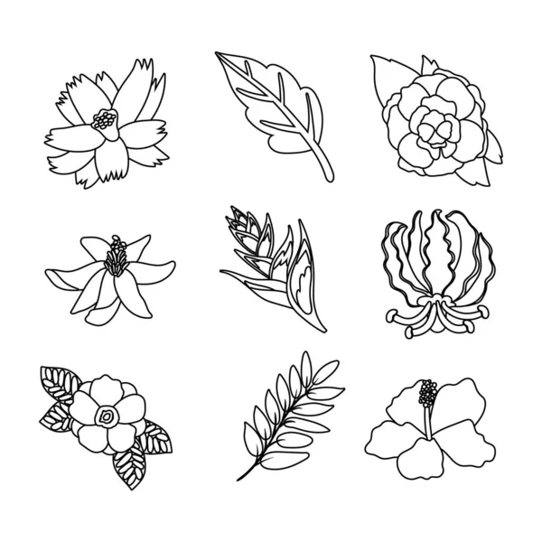 Paquete de hermosas flores y hojas iconos — Archivo Imágenes Vectoriales