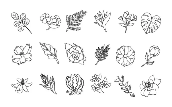Bundel van prachtige bloemen en bladeren pictogrammen — Stockvector