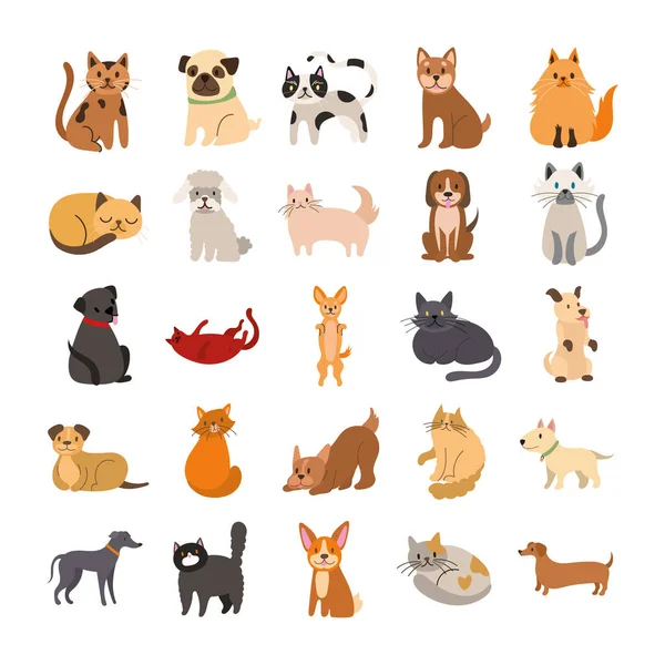 Bundle of cats and dogs set icons — Stock Vector