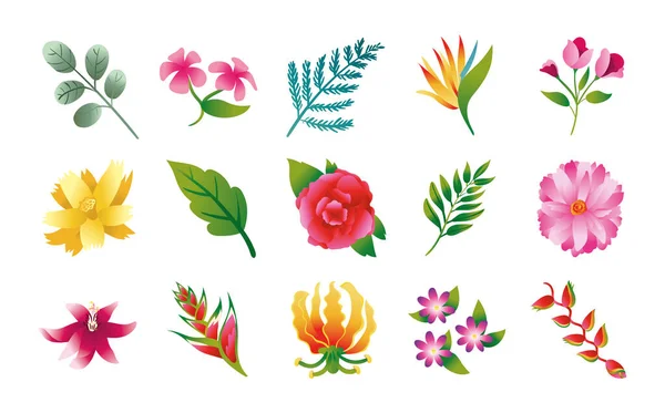 Köteg gyönyörű virágok és levelek ikonok — Stock Vector