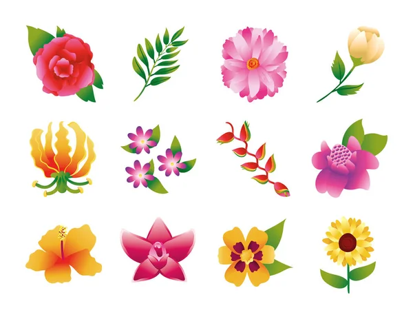 Bundel van prachtige bloemen en bladeren pictogrammen — Stockvector