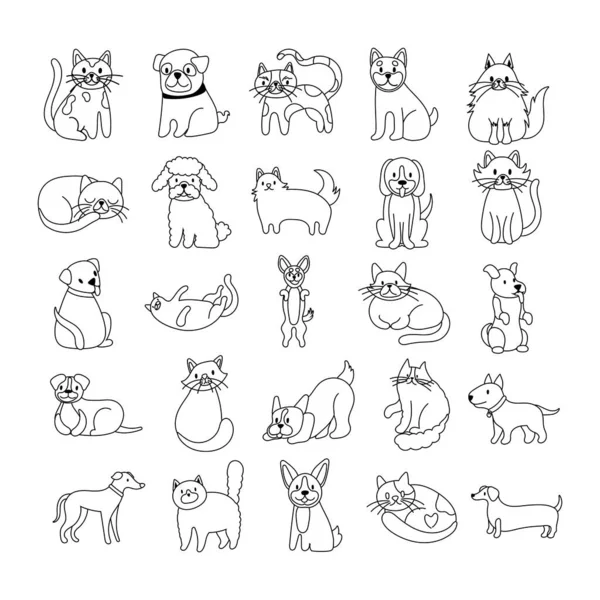 Bundle of cats and dogs set icons — Stock Vector