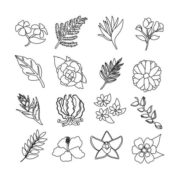 Pacote de belas flores e ícones de folhas — Vetor de Stock