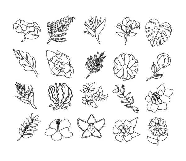 Paquete de hermosas flores y hojas iconos — Vector de stock